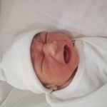 ZANE ANKA ZACHARY